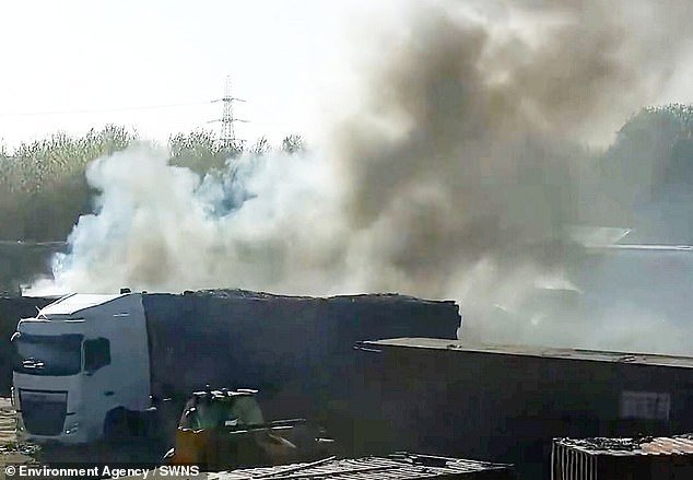 Banda de punta de mosca