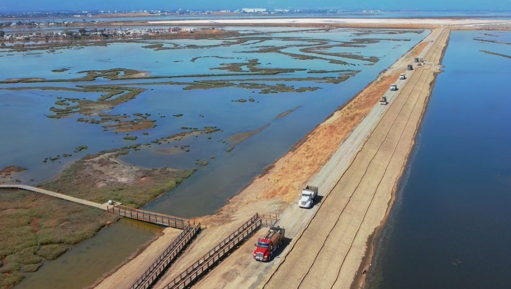 SJM-L-Alviso-levees-9-25-25-02.jpg