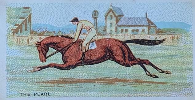 ¿Como apoyar a un rudo? Aquí están las mayores sorpresas en la historia de la Copa de Melbourne para darle esperanzas a su selección.