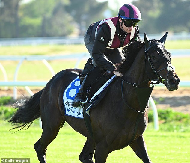 Revelado: Las apuestas MÁS SALVAJES en la Copa Melbourne 2025, incluido un apostador que podría perder $500,000