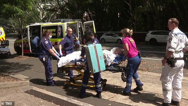 El ataque de un perro sacude un bloque de apartamentos, un hombre lucha por su vida y los agentes de policía se ven obligados a utilizar escudos antidisturbios para protegerse