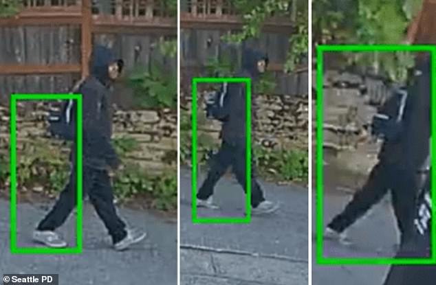 Nuevo mínimo de criminalidad en Seattle después de que un ladrón le mordiera el dedo a una mujer de 88 años mientras limpiaba el exterior de su casa