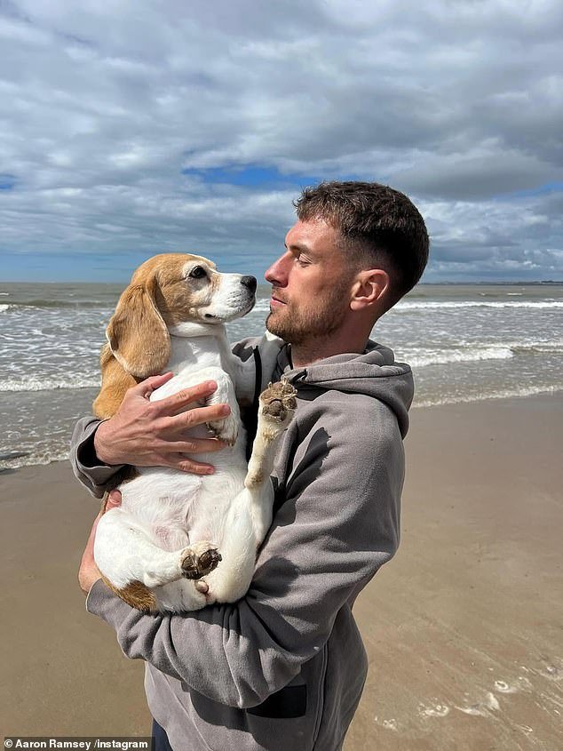 La familia de Aaron Ramsey hace una desgarradora confesión sobre extrañar a su amado perro luego de que la ex estrella del Arsenal ‘rescindiera su contrato’ con la selección mexicana después de solo seis apariciones.