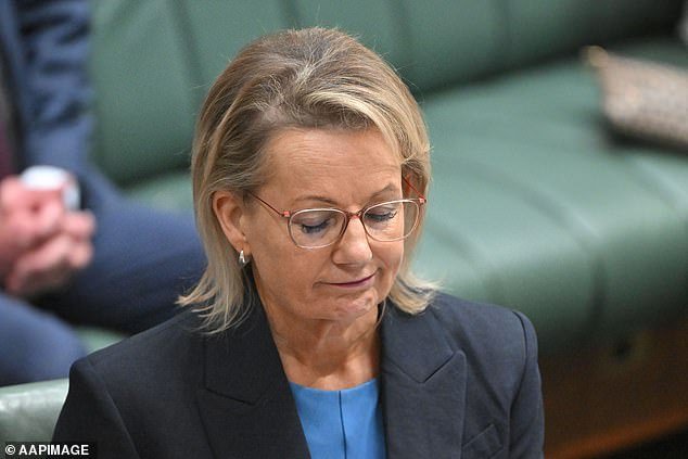 ¿Es hora de perder el liderazgo? La senadora liberal Sarah Henderson hace un comentario extraordinario sobre Sussan Ley: “¡Tírenlo debajo del autobús!”