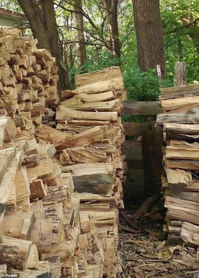 Una frustrante ilusión óptica muestra a un gato escondido a plena vista. ¿Puedes detectarlo en 30 segundos?