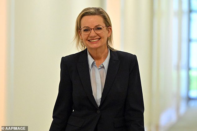 Los liberales abandonan el objetivo de cero emisiones netas cuando Anthony Albanese lo pierde: ‘espectáculo de payasos’