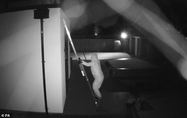 “No tienen idea de a qué se enfrentan”: en el marco de la “sofisticada” operación de una banda criminal extranjera dirigida contra futbolistas; mientras nuestros expertos revelan señales alarmantes, los delincuentes ganan confianza y usan trucos para proteger verdaderamente su hogar.