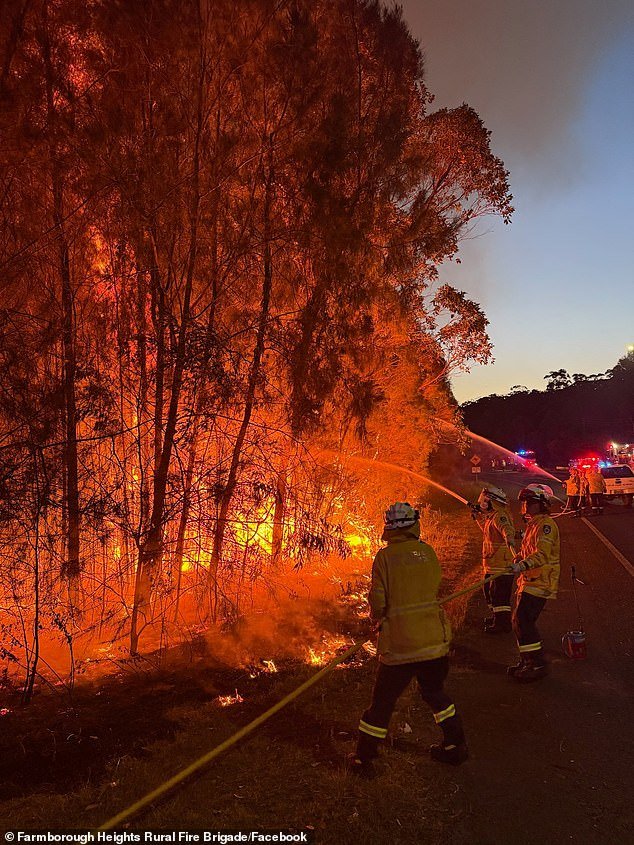 Se ha emitido una advertencia de incendio forestal para los residentes de la costa sur de Nueva Gales del Sur en medio de un peligro extremo de incendio en otras partes del estado.