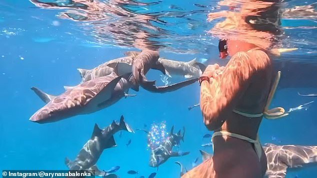 Aryna Sabalenka está nadando con tiburones durante sus vacaciones después de perderse el día con mayores ganancias de £ 4 millones en el tenis femenino