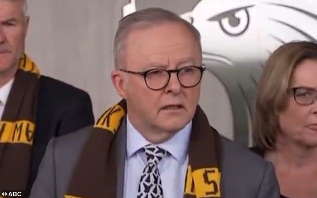 Momento cortante: Anthony Albanese critica a un periodista por hacer una pregunta sobre la compensación de 2,4 millones de dólares financiada por los contribuyentes de Brittany Higgins