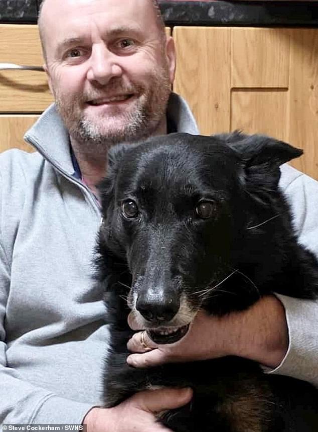 Un conductor de Amazon atropella a Molly, la pastora alemana de 12 años de la familia, dejando £1,200 en facturas del veterinario; luego la compañía ofrece una cama para perros de £25 como compensación