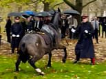 Momento caótico El caballo de Caballería Real corre por Green Park en el centro de Londres después de ser liberado.