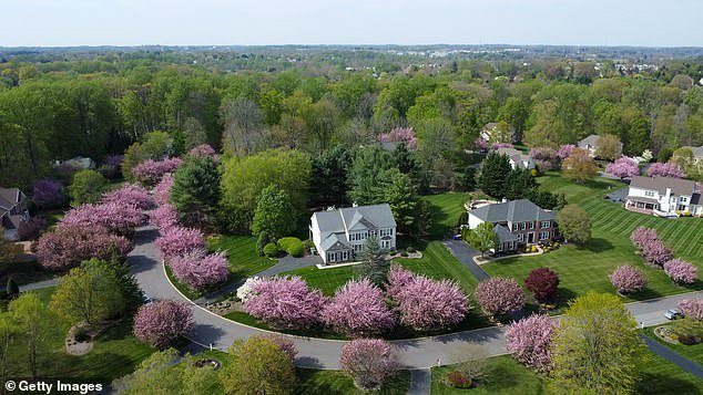 Ira porque la nueva ley de “mantenimiento” impone a los propietarios una multa de 200 dólares por prácticas comunes de mantenimiento de jardines