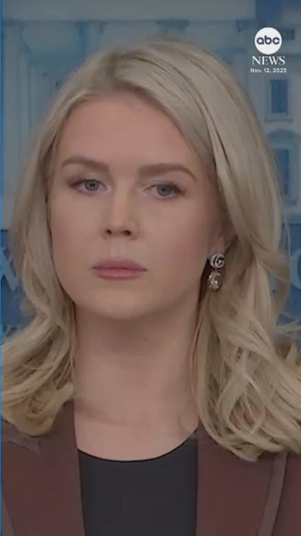 Vídeo WH prensa seg. Leavitt: los correos electrónicos de Epstein demuestran que Trump ‘no hizo nada malo’