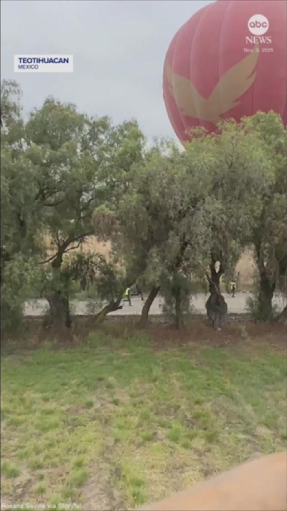 MIRA: Globos aerostáticos chocan contra árboles en México