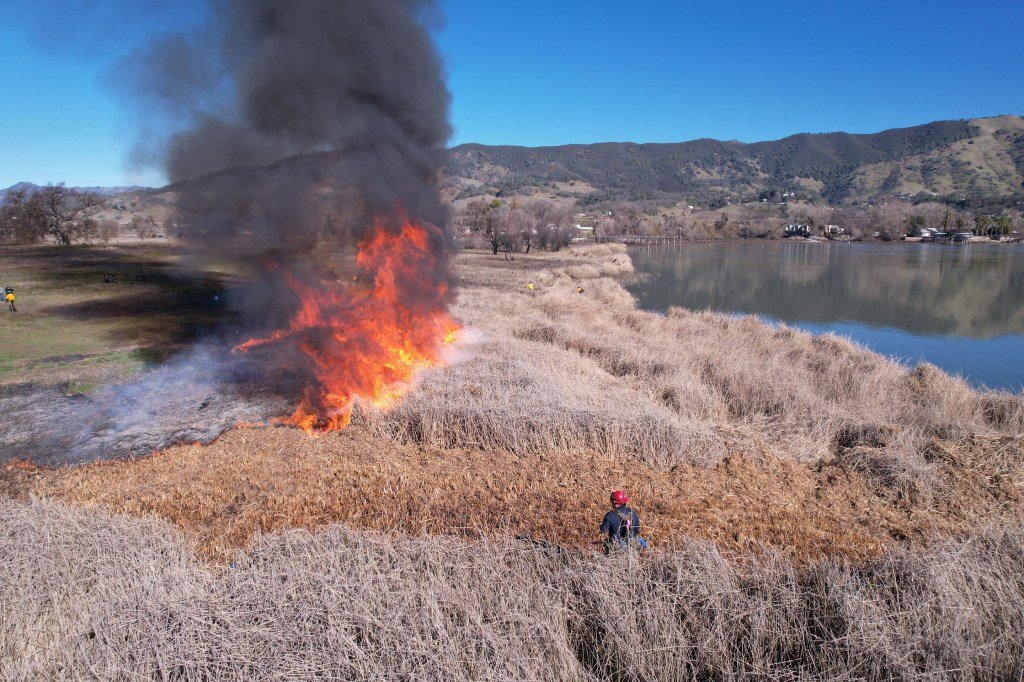 La exposición Good Fire en Oakland muestra las prácticas indígenas de gestión de tierras