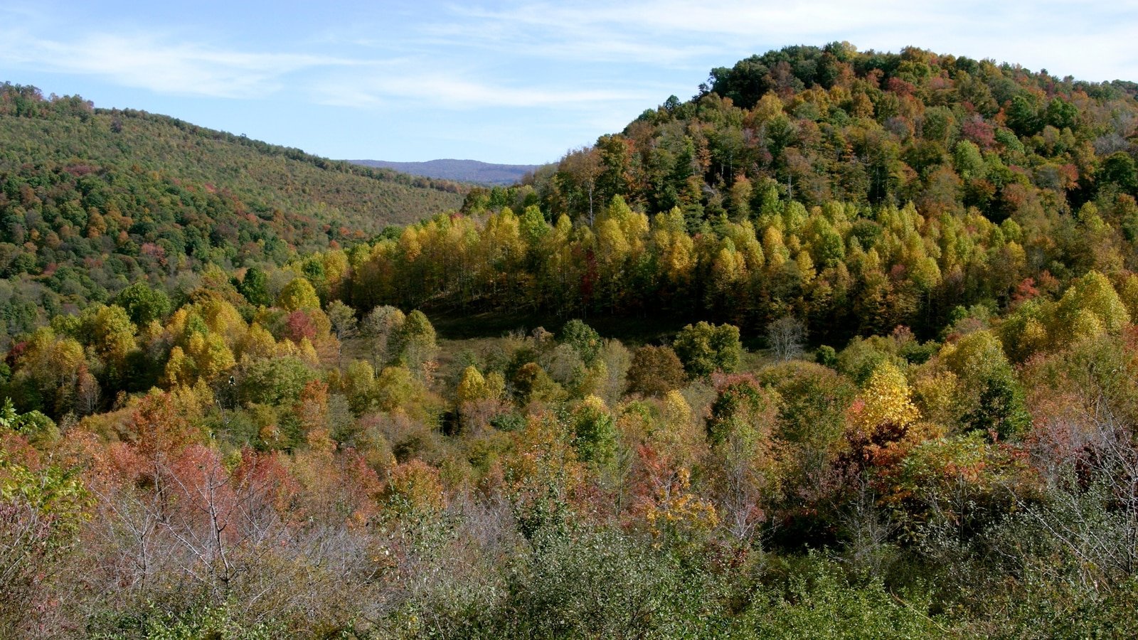 Minero desaparecido en Virginia Occidental fue encontrado muerto, dice el gobernador