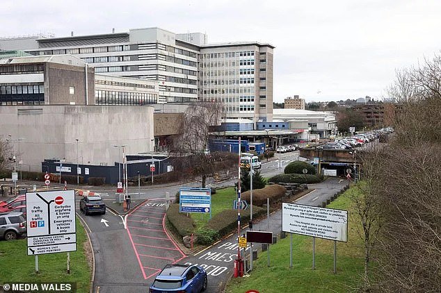 El recién nacido quedó “desnutrido y acostado sobre sábanas frías y húmedas” en la unidad de cuidados intensivos neonatales del hospital antes de su muerte, según una investigación.