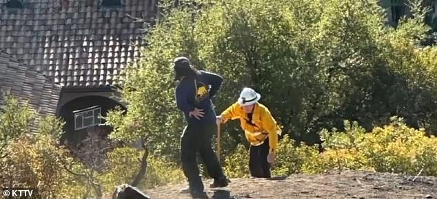 Un infierno mortal en LA Palisades se extendió en un área donde los bomberos estaban restringidos por leyes que protegen especies de plantas en peligro de extinción.