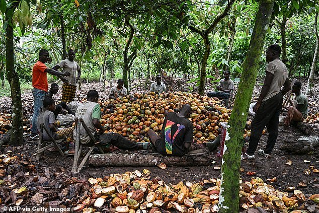 Por qué su chocolate navideño no será suficiente este año: Celebrations, Dairy Milk y Terry’s Chocolate Oranges son todos MÁS PEQUEÑOS pero cuestan más