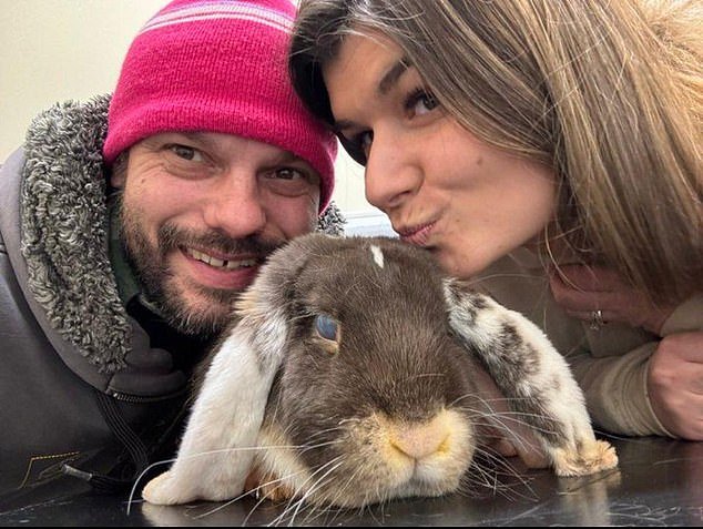 La granja de conejos y los “seguidores” en línea que llevaron a una disputa con el lobby trans: JULIE BINDEL