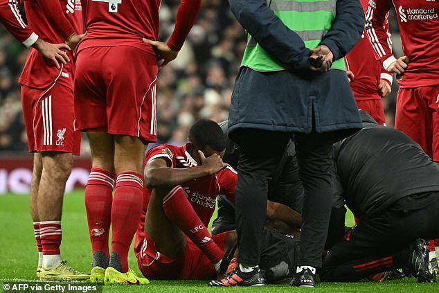 Actualización sobre la lesión de Alexander Isak: el Liverpool teme un largo despido para el fichaje récord de £ 125 millones después de que salió cojeando del campo en Tottenham, pero se DESCARTA una lesión en el ligamento cruzado