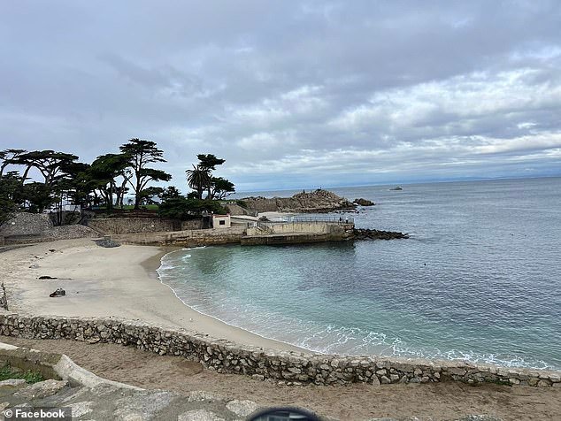 Teme que una mujer sea mutilada por un tiburón frente a la costa de California cuando desaparece durante un club de natación semanal