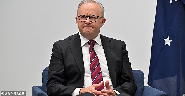 Anthony Albanese anuncia cambios masivos en los beneficios de viajes familiares para los políticos