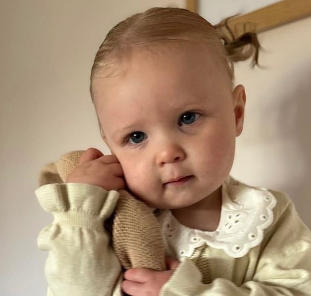 Una tragedia desgarradora cuando una niña de dos años muere después de caer a un estanque durante una reunión familiar el día de Navidad.