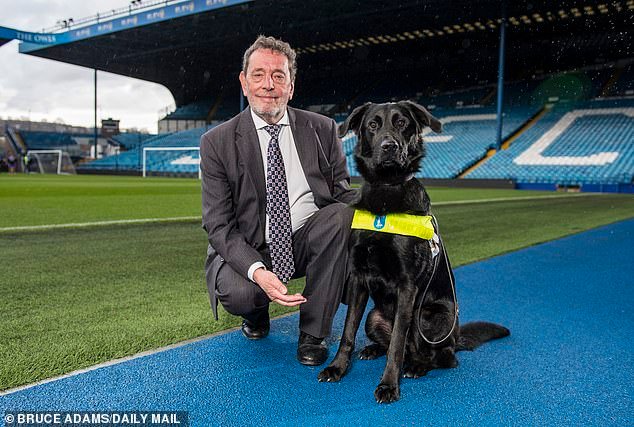 El exsecretario del Interior, David Blunkett, ha pedido a la EFL que proteja a los jugadores del Sheffield Wednesday de lesiones que amenazan sus carreras y de una “humillación total”.