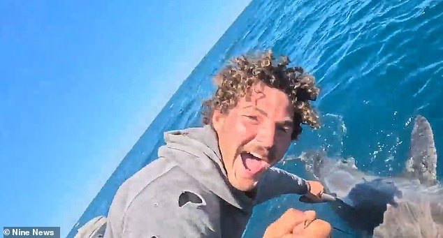 Increíble momento en el que un pescador captura un gran tiburón blanco de dos metros de largo