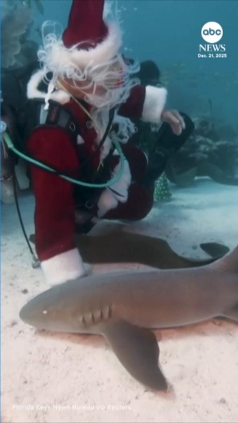 Video buceando Papá Noel se aventura a los Cayos de Florida de vacaciones