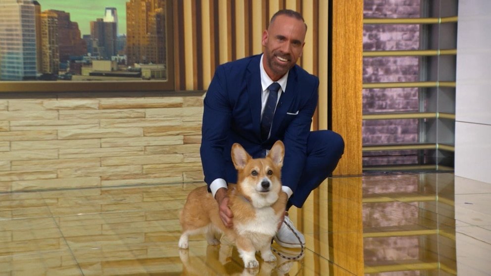 MIRAR: Resoluciones de Año Nuevo para sus mascotas