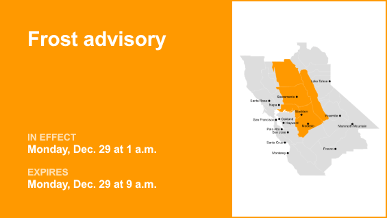 Delta fue puesta bajo advertencia de heladas el lunes: las temperaturas alcanzaron un mínimo de 33°C – The Mercury News