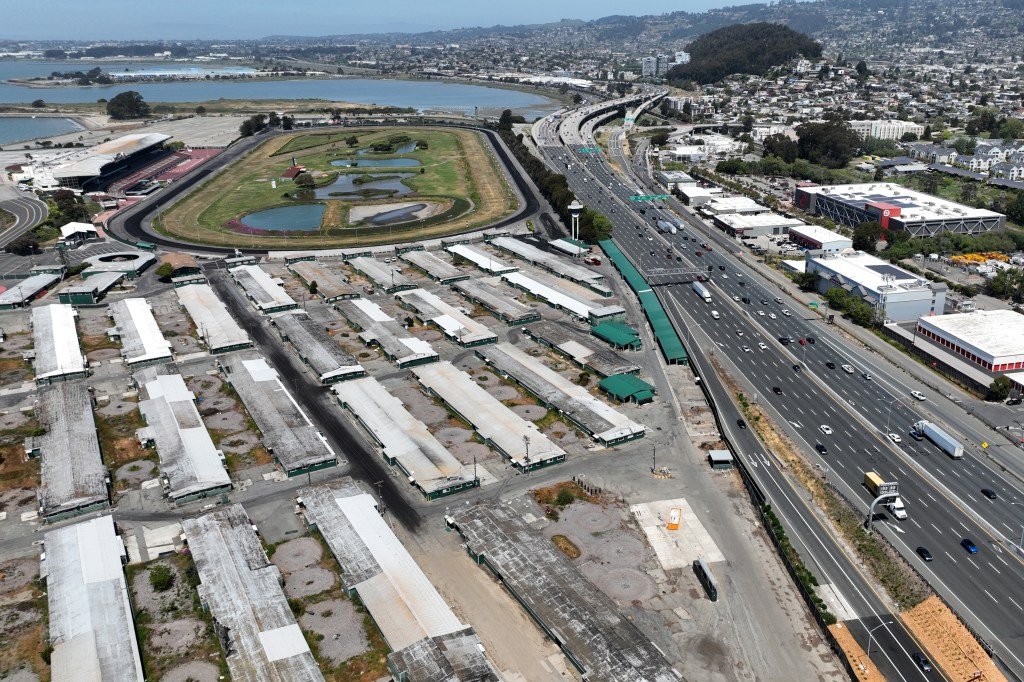 Conductor de Berkeley recibe 18 años de prisión por matar a una mujer durante una persecución policial