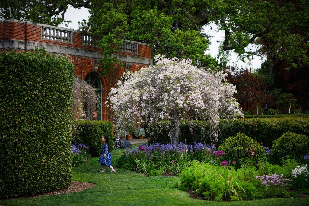 Calendario de eventos del Área de la Bahía para ediciones semanales del 2 al 8 de enero