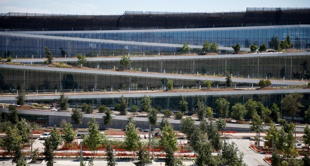 Los propietarios de Sunnyvale pueden obtener árboles gratis – The Mercury News