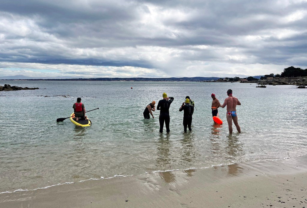 Nadador desaparecido en la playa de Pacific Grove, informes de tiburón – The Mercury News