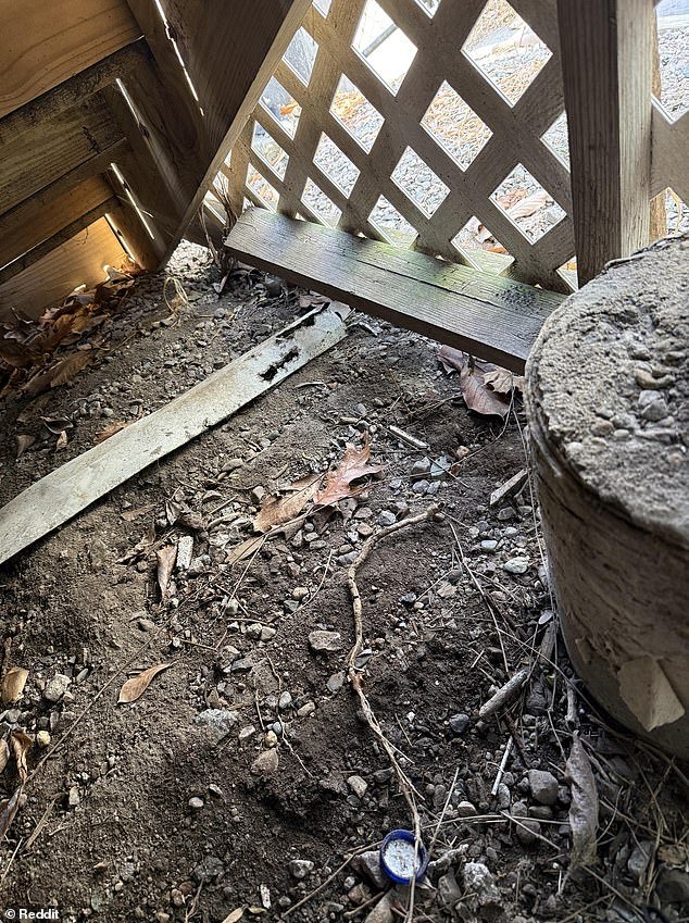 El marido recurre a Internet en busca de ayuda para encontrar su anillo de bodas perdido… ¿Puedes ver el anillo escondido a plena vista?