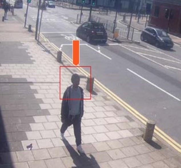 Los fanáticos de los videos gore vieron imágenes de decapitaciones apenas unos días antes de que “matara a puñaladas a su abuela en una parada de autobús”, dice el tribunal.