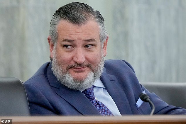 Mientras Ted Cruz regresa a Texas antes de la tormenta histórica, lucha contra quienes se burlan de él por su viaje desfavorable.