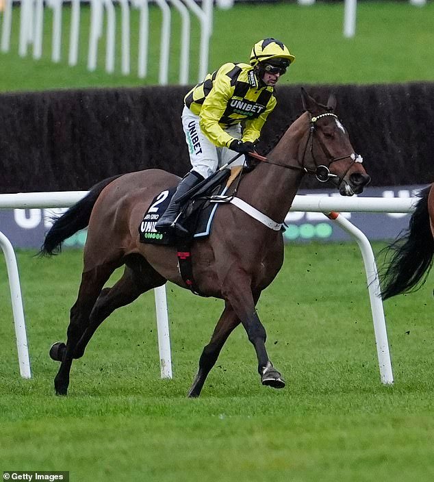 El favorito de Cheltenham, Sir Gino, se apresuró al hospital de caballos para ver si los veterinarios podían salvarle la vida después de que su pierna se quedó flácida a mitad de la carrera.