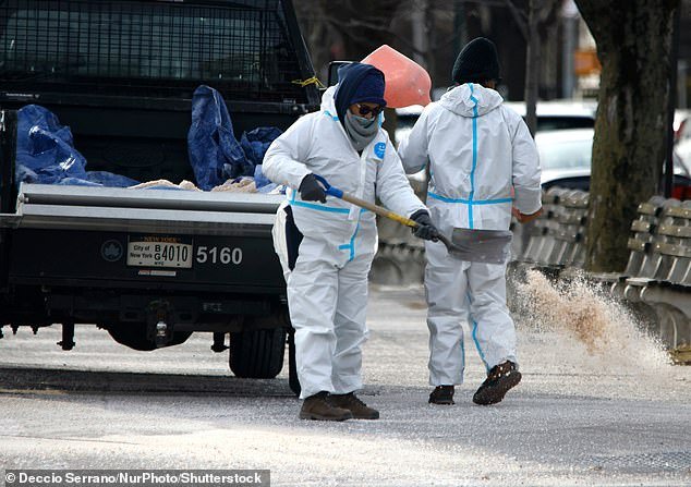 Se espera que las tres ciudades vean la mayor cantidad de nieve a medida que la tormenta Icemaggedon de 2,300 millas de largo azote 35 estados.