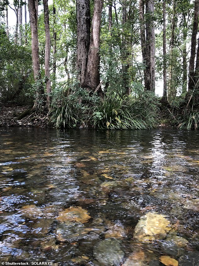 Tragedia durante el fin de semana largo del Día de Australia: dos hombres se ahogan en un río y una mujer embarazada es trasladada al hospital