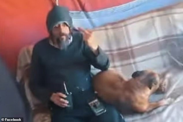 Escenas extrañas: un perro conduce un coche en la playa: al propietario le confiscan el permiso de conducir