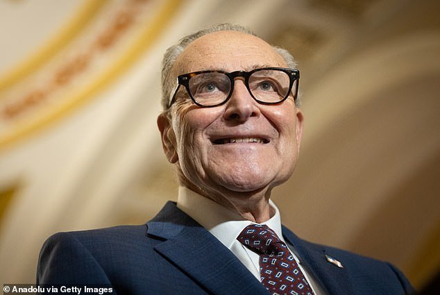 105966867-15510165-Senate_Minority_Leader_Chuck_Schumer_a_New_York_Democrat_speaks_-a-2_176979504527.jpeg