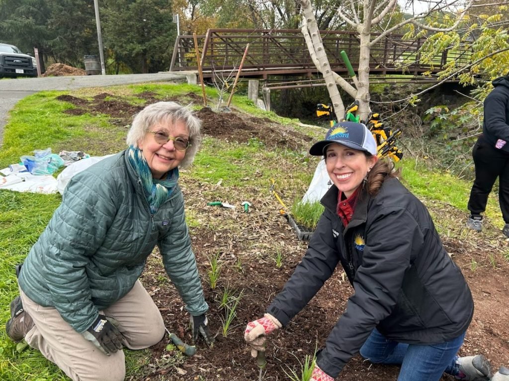 El ecosistema de Contra Costa está siendo restaurado, una planta nativa a la vez