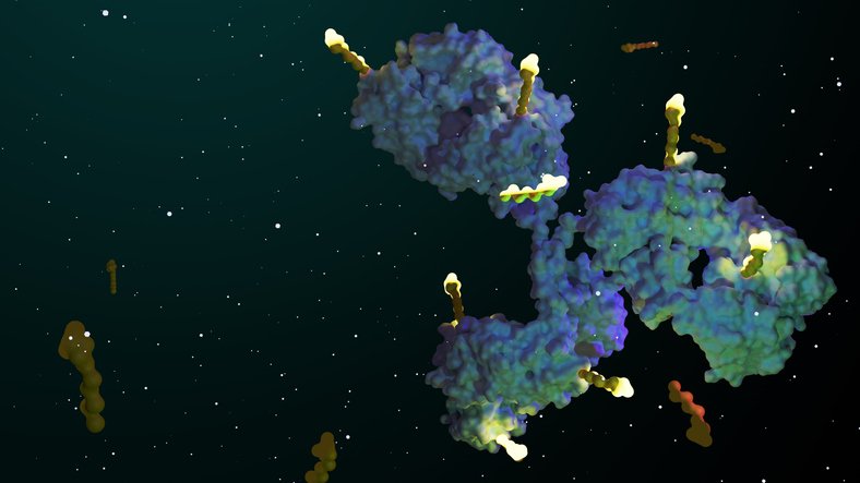 Se lanza la startup Fortitude Bio para derrotar la resistencia a los medicamentos en el cáncer y expandir los ADC a las enfermedades autoinmunes
