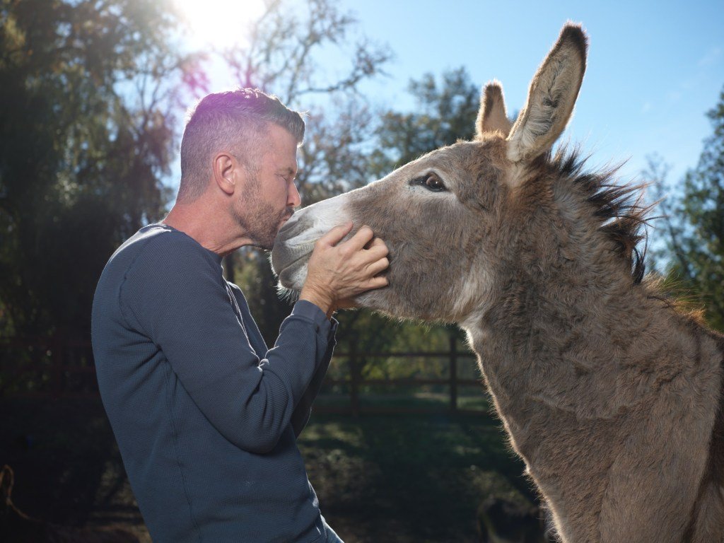 El rescate del burro de North Bay protagoniza una serie de televisión de ABC
