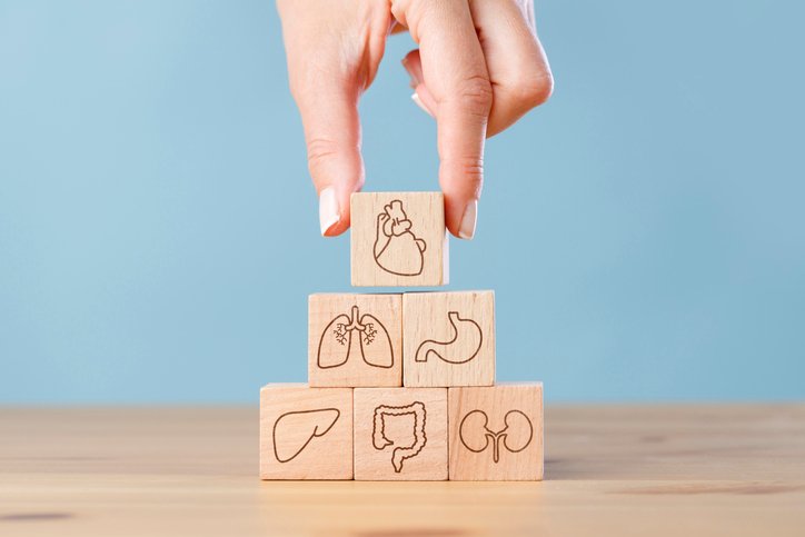 De la escasez a la oportunidad: qué significan las tecnologías de perfusión para la industria de los trasplantes de órganos